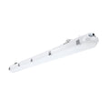 LED Tri-proof Light